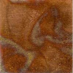 red variegated leaf 1 pack