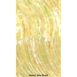 Abalam Laminated Sheet: Green Sea Snail — Surface Inlay
