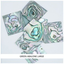 Solid Shell Blanks: Green Abalone Large Solid Shell Blanks: Green Abalone Large