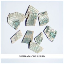 Solid Shell Blanks: Green Abalone Rippled Solid Shell Blanks: Green Abalone Rippled