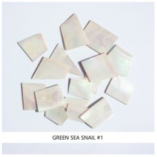 Solid Shell Blanks: Green Sea Snail #1