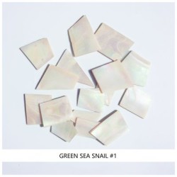 Solid Shell Blanks: Green Sea Snail #1 Solid Shell Blanks: Green Sea Snail #1