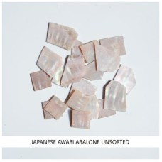 Solid Shell Blanks: Japanese Awabi Unsorted