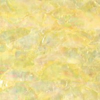 Agoya Mother of Pearl Inlay Sheet