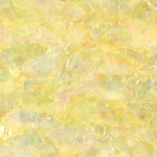 Agoya Mother of Pearl Inlay Sheet