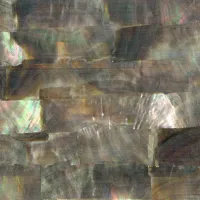 Black Mother of Pearl Inlay Sheet