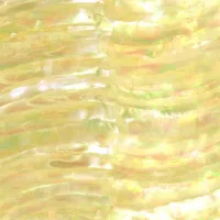 Green Sea Snail Abalone sheets