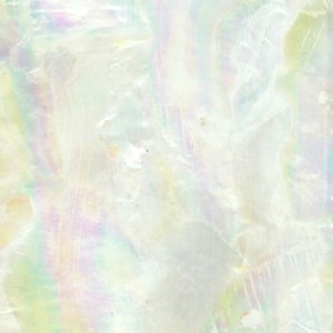 Mother of Pearl Shell Inlay