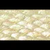 Donkey Ear Abalone Inlay Sheet