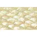 Donkey Ear Abalone Inlay Sheet