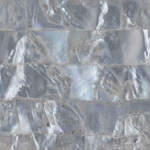 Figured Mother of Pearl White