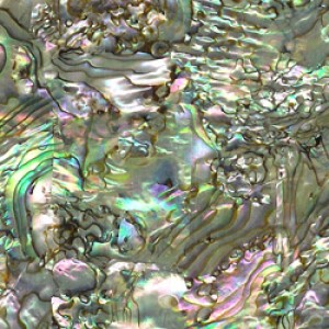 Abalone Inlay Shell Abalone Inlay Shell