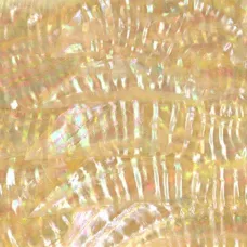 Japan Awabi Abalone Inlay Sheet Japan Awabi Abalone Inlay Sheet