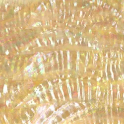 Japan Awabi Abalone Inlay Sheet Japan Awabi Abalone Inlay Sheet