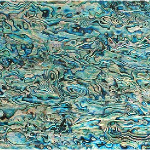Blue Abalone Blue Abalone