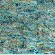 Blue Abalone Blue Abalone