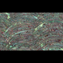 Paua Abalone Rim Dark Inlay Sheet Paua Abalone Rim Dark Inlay Sheet