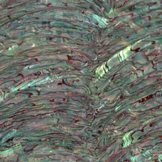 Paua Abalone Rim Dark Inlay Sheet Paua Abalone Rim Dark Inlay Sheet