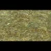 Paua Abalone Rim Light Inlay Sheet