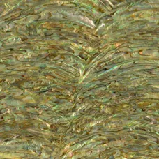 Paua Abalone Rim Light Inlay Sheet