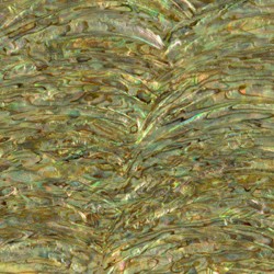 Paua Abalone Rim Light Inlay Sheet Paua Abalone Rim Light Inlay Sheet