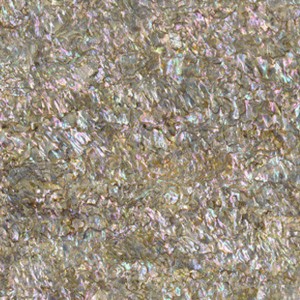 Pink Abalone Heart shell sheets Pink Abalone Heart shell sheets