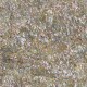 Pink Abalone Heart shell sheets