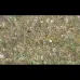 Red Heart Abalone Inlay Sheet