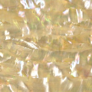 Red Abalone Pale shell sheets Red Abalone Pale shell sheets