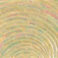 Turbo Single Arc Abalone Inlay Sheet
