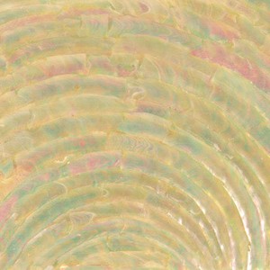 Turbo Single Arc Abalone sheets