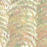 Turbo Triple Arc Abalone Inlay Sheet
