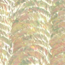 Turbo Triple Arc Abalone Inlay Sheet