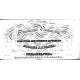 Becker's Ornamental Penmanship (1854) — Digital Download