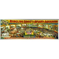 Ringling Aviary Aquarium Circus Poster Ringling Aviary Aquarium Circus Poster