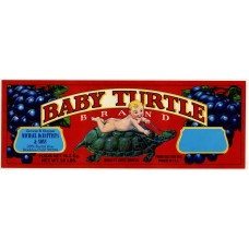 Baby Turtle Fruit Crate Label