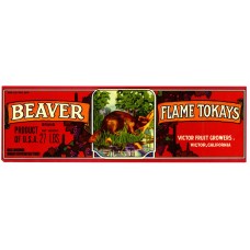 Beaver Tokays Fruit Crate Label Beaver Tokays Fruit Crate Label