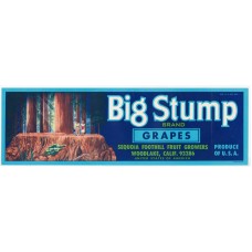 Big Stump Grapes Fruit Crate Label