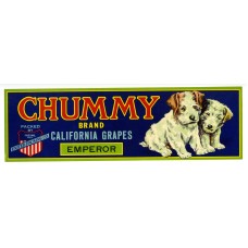 Chummy Puppies Fruit Crate Label Chummy Puppies Fruit Crate Label