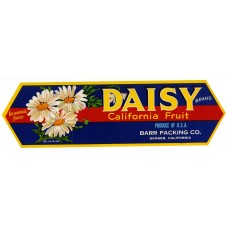 Daisy Sanger Fruit Crate Label