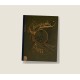 Herhold's Compendium of Modern Penmanship (1894) — Digital Download