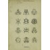 A Monogram and Alphabet Album (1878) — Digital Download