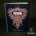 Pinstriping Instruction and Designs Book