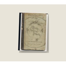 Theory of Spencerian Penmanship (1874) — Paperback Reprint