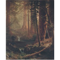 Bierstadt Redwood Trees California Western Art Bierstadt Redwood Trees California Western Art