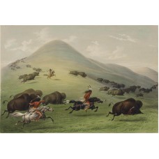 Catlin Buffalo Hunt Riders Western Art