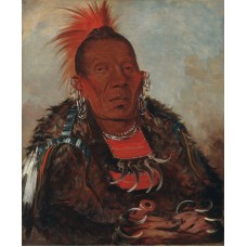 Catlin Otoe Chief Portrait Western Art