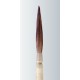 scroll brushes by scharff scroll brushes by scharff