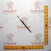 Lettering Quill Brown Squirrel Size 0 Series 179L Lettering Quill Brown Squirrel Size 0 Series 179L