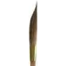 Mack-Belly Sword Pinstriping Brush series M-B size 00